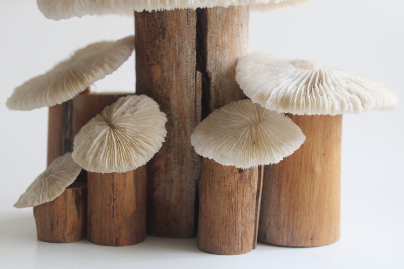 photo of handcrafted mushrooms, rustic neutral decor reclaimed wood and pale stone colored coral  #3