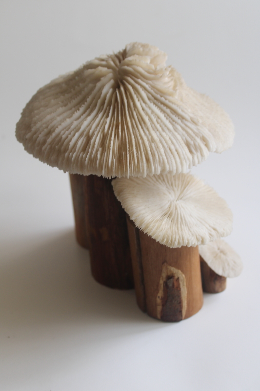 photo of handcrafted mushrooms, rustic neutral decor reclaimed wood and pale stone colored coral  #4