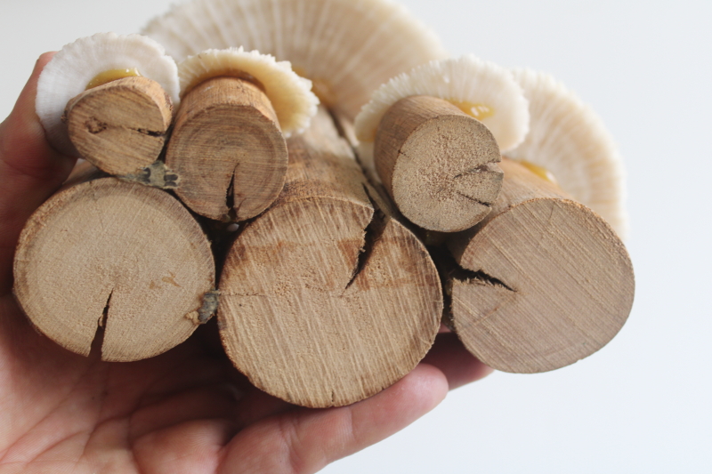 photo of handcrafted mushrooms, rustic neutral decor reclaimed wood and pale stone colored coral  #6