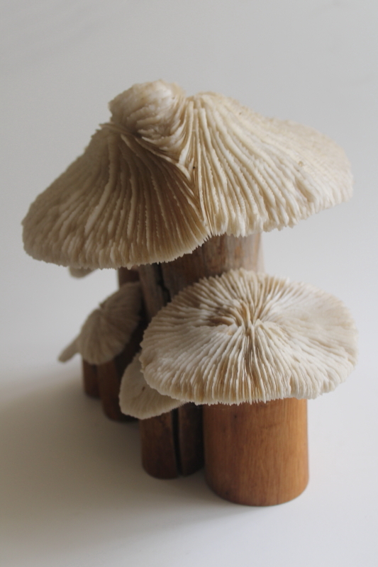 photo of handcrafted mushrooms, rustic neutral decor reclaimed wood and pale stone colored coral  #9