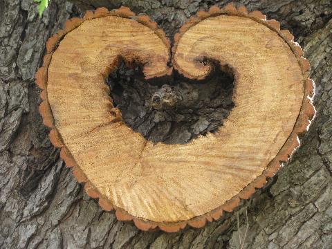 photo of heart wood natural primitive log and tree bark rustic wreath wall art #1