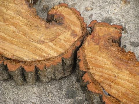 photo of heart wood natural primitive log and tree bark rustic wreath wall art #7