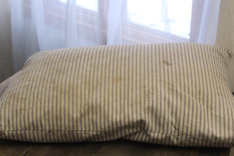 photo of heavy old chicken feather pillow, vintage indigo blue striped cotton ticking fabric cover #2