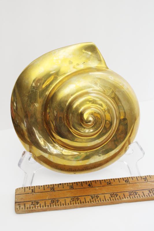 photo of heavy polished brass nautilus shell, vintage seashell wall art or paperweight #6