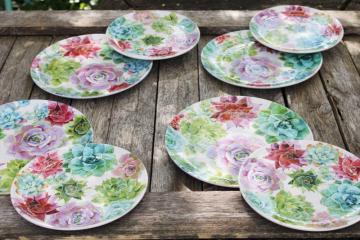 catalog photo of hen & chicks succulents print melamine dinner & salad plates BH&G Walmart never used