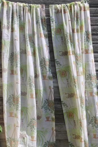 photo of hippie vintage gauzy window curtains w/ spider plants houseplant print #1