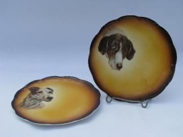 catalog photo of hound & terrier dog, early 1900s antique vintage china plates w/ hunting dogs