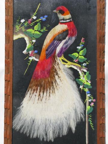 photo of huge feather bird pictures in carved wood frames, vintage Mexico #5