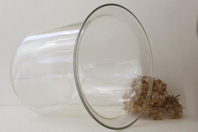 photo of huge old blown glass cloche, bell jar dome for display, clock cover or terrarium #2