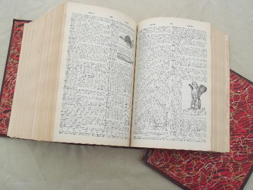 photo of huge old dictionary w/ illustrated pages, 4,000 pictorial illustrations #2