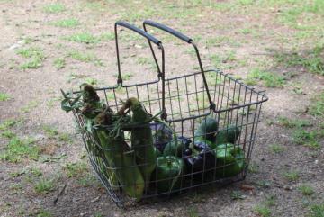 catalog photo of huge vintage wire basket w/ handles, farmers market country french flea market style