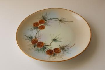 catalog photo of intage hand painted china plate w/ pine cones, rustic or winter holiday decor