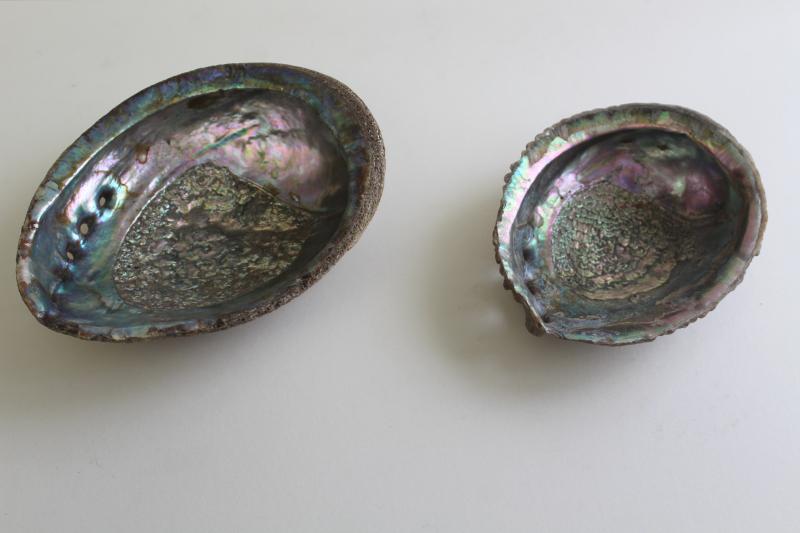 photo of iridescent luster pearl abalone shells, natural seashell trinket or soap dishes #1