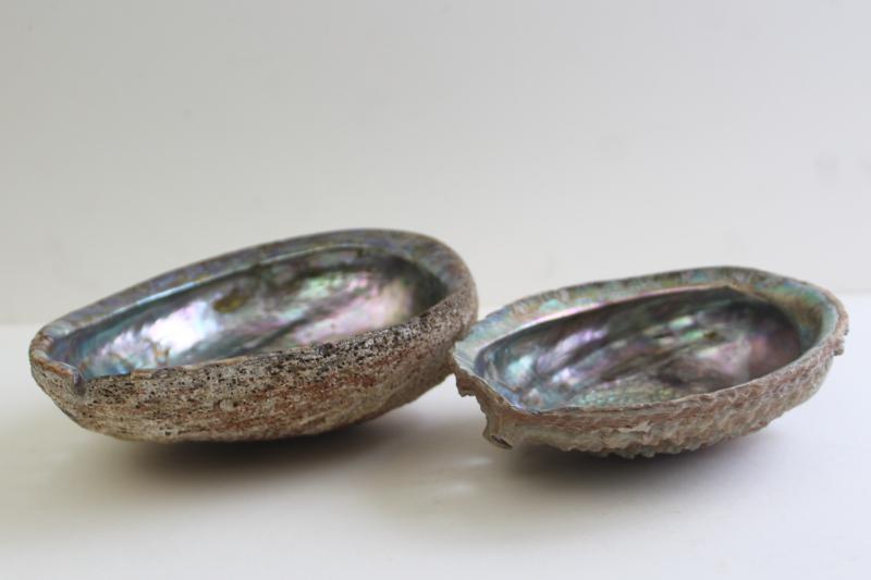 photo of iridescent luster pearl abalone shells, natural seashell trinket or soap dishes #2