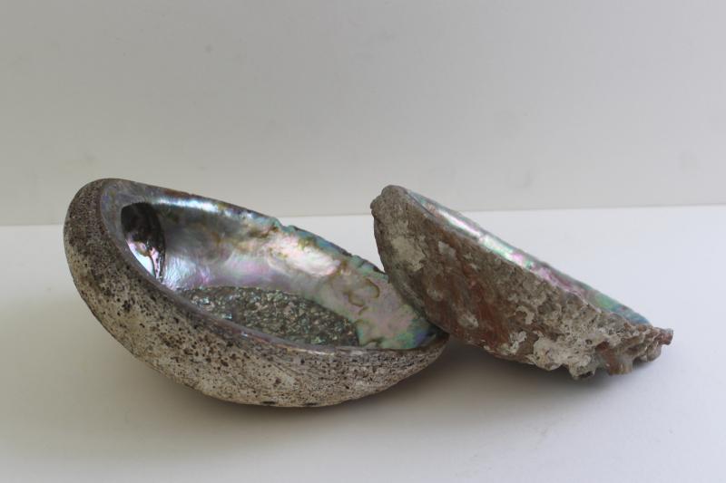 photo of iridescent luster pearl abalone shells, natural seashell trinket or soap dishes #3