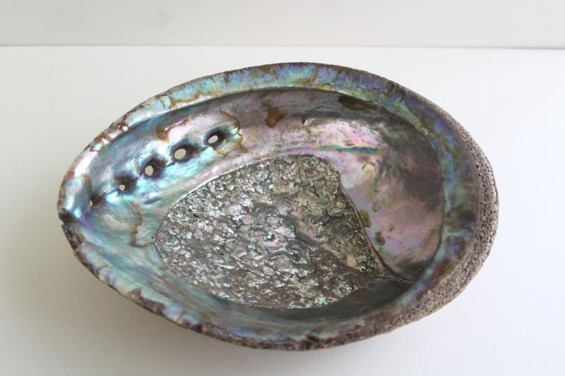 photo of iridescent luster pearl abalone shells, natural seashell trinket or soap dishes #6