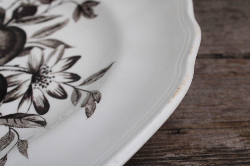 photo of large china platter dark brown transferware Gainsborough vintage J & G Meakin England #3