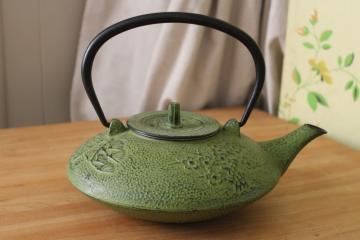 catalog photo of large heavy cast iron tetsubin tea pot, bamboo pattern, matcha green color 