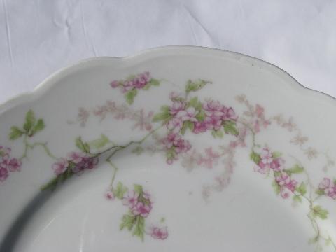 photo of lavender roses floral, antique vintage Austria china plates #3