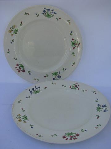 photo of lot 12 antique English china dinner plates, early 1900s Wedgwood patterns #9