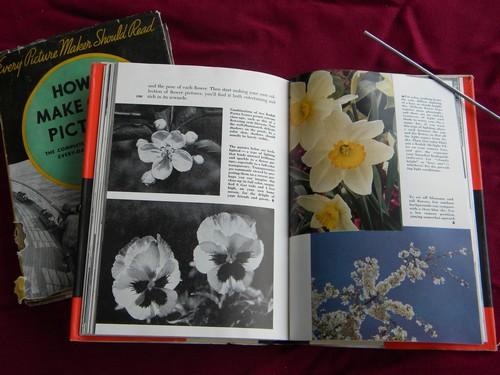 photo of lot 1930s/50s vintage Kodak photography books,How to Make Good Pictures #3