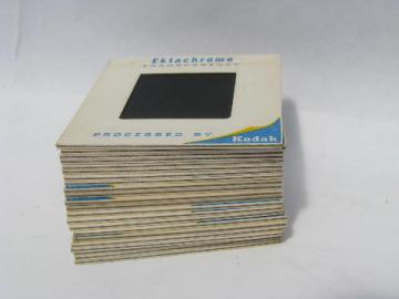 catalog photo of lot 1967 vintage photo slides, wedding party, black americana