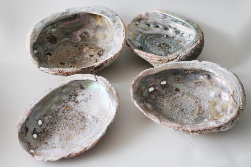 photo of lot large abalone shells, natural unpolished seashells for crafts or beach decor #1