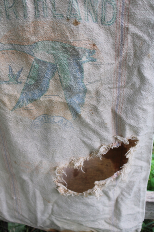 photo of lot of 12 shabby old heavy cotton grain bags, primitive fabric seed & feed sacks w/ vintage graphics  #3
