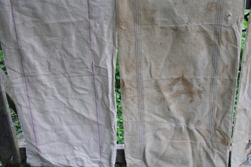photo of lot of 12 shabby old heavy cotton grain bags, primitive fabric seed & feed sacks w/ vintage graphics  #11