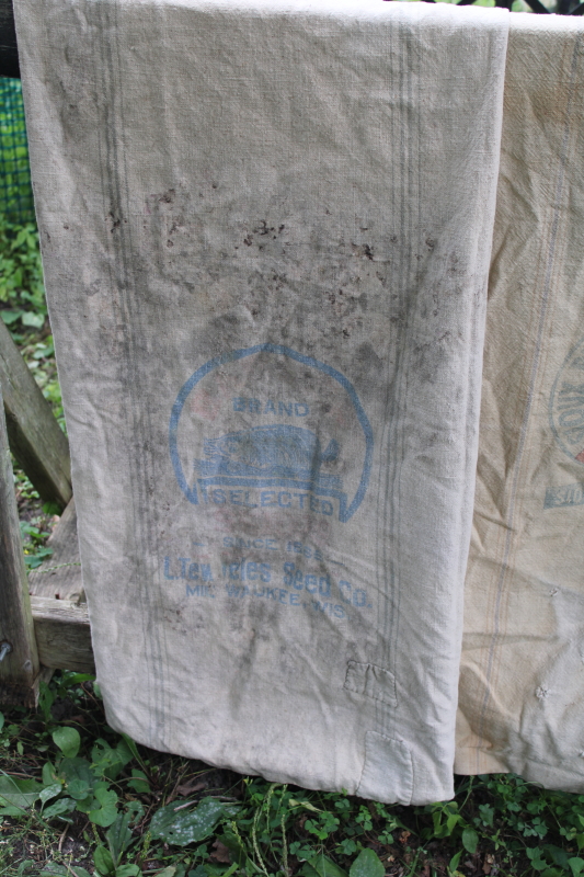 photo of lot of 12 shabby old heavy cotton grain bags, primitive fabric seed & feed sacks w/ vintage graphics  #20