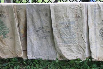 lot of 12 shabby old heavy cotton grain bags, primitive fabric seed & feed sacks w/ vintage graphics 