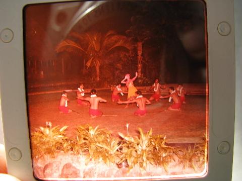 photo of lot of 20+ vintage photo slides of Hawaii, hula dancers, Polynesian village etc. #2