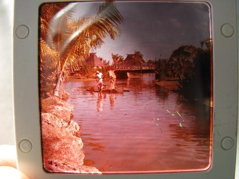 photo of lot of 20+ vintage photo slides of Hawaii, hula dancers, Polynesian village etc. #5