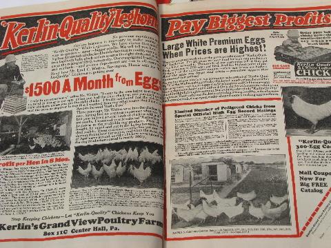 photo of lot of antique 1926 Poultry Keeper chicken magazines farm advertising #2