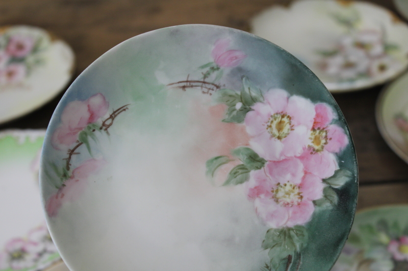 photo of lot of antique & vintage hand painted china plates, wild rose roses florals, romantic cottage chic #16