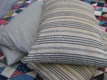 catalog photo of lot of four primitive old feather pillows, vintage wide stripe ticking