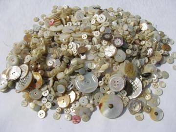 catalog photo of lot of old, antique, vintage mother of pearl shell buttons, tiny to really big!