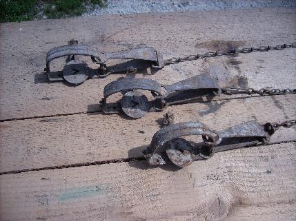 photo of lot of primitive old Oneida Victor small animal traps, rustic cabin/lodge #2