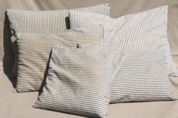 catalog photo of lot of shabby country feather pillows, primitive old blue stripe cotton ticking fabric