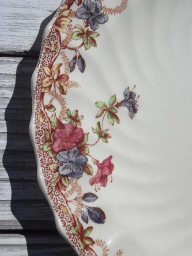 photo of lot of three Sydney floral vintage Copeland Spode china salad plates #3