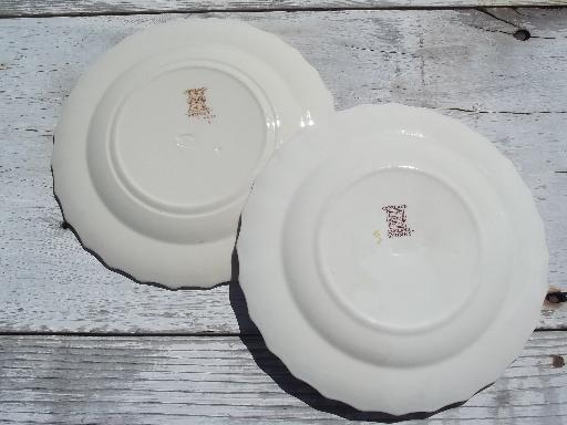 photo of lot of three Sydney floral vintage Copeland Spode china salad plates #4