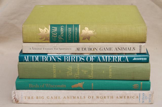 photo of lot of vintage books all natural history prints plates birds, wildflowers, animals #1