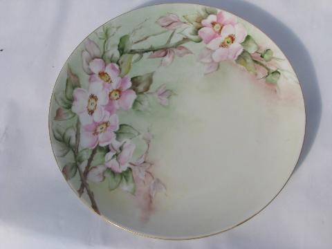 photo of lot old hand-painted china plates w/ flowers, antique vintage Bavaria, Prussia etc. #3