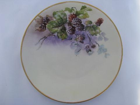 photo of lot old hand-painted porcelain plates w/ fruit, antique vintage Bavaria china #2