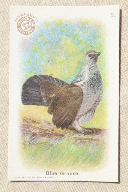 photo of lot vintage advertising trade cards w/birds, color print bird field guide books #5