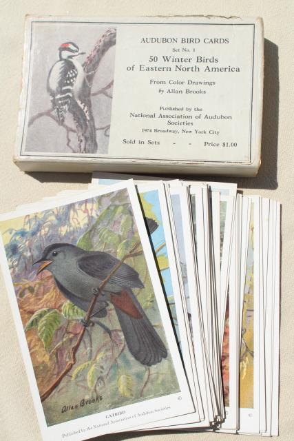 photo of lot vintage advertising trade cards w/birds, color print bird field guide books #9