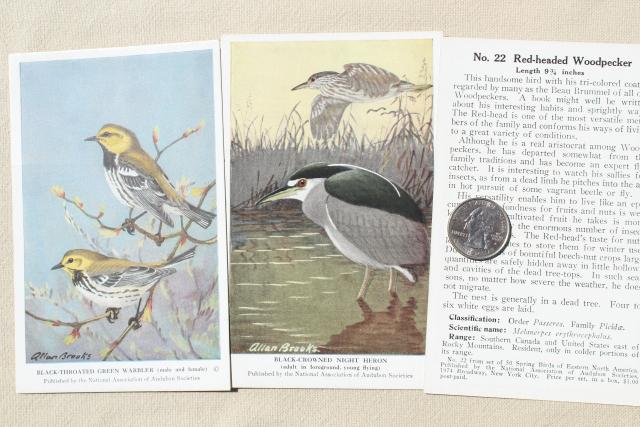 photo of lot vintage advertising trade cards w/birds, color print bird field guide books #14