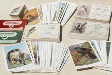 catalog photo of lot vintage advertising trade cards w/birds, color print bird field guide books