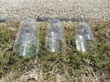 catalog photo of lot vintage glass domes, dome covers for clocks, antique display