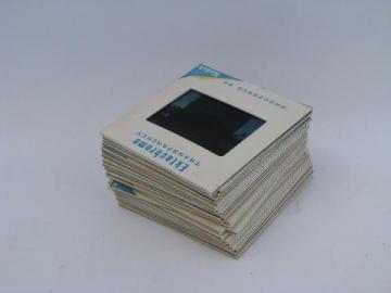 catalog photo of lot vintage photo slides, water show w/dolphins/porpoises&killer whales